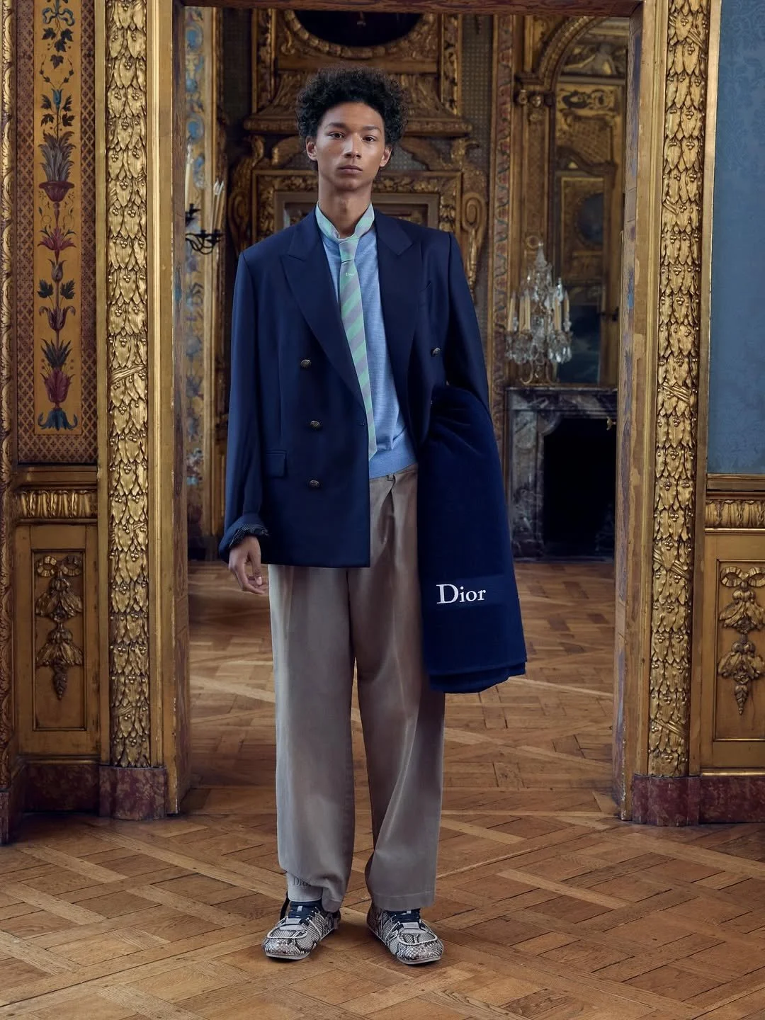 DIOR MEN PRE-FALL 2026 - SHOW REPORT - BTB DIGITAL —
